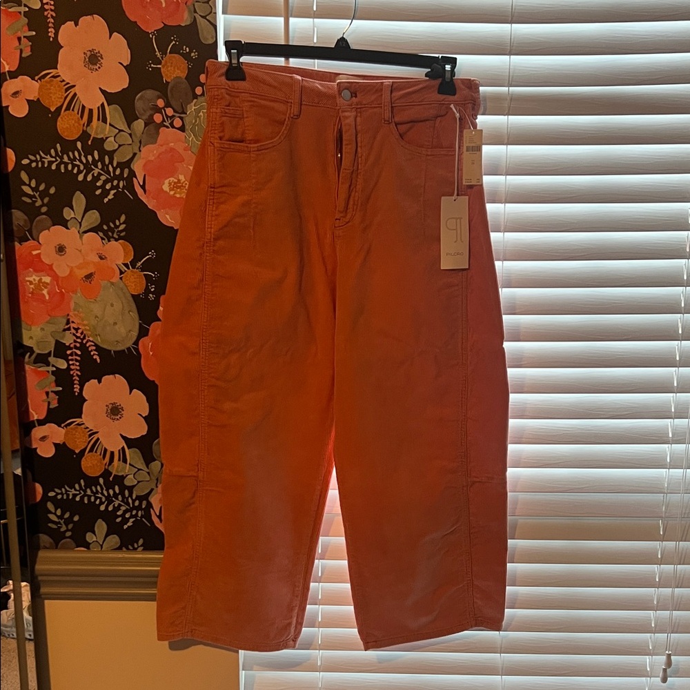 Pilcro Terracotta Corduroy Trousers